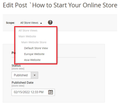 magento 2 blog post scope store view