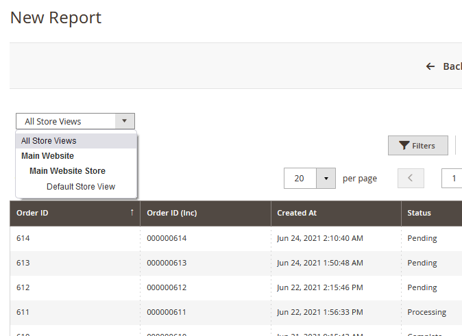 magento 2 custom reports store views report view page