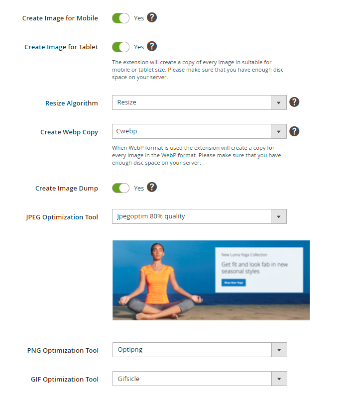 guide for google page speed optimizer