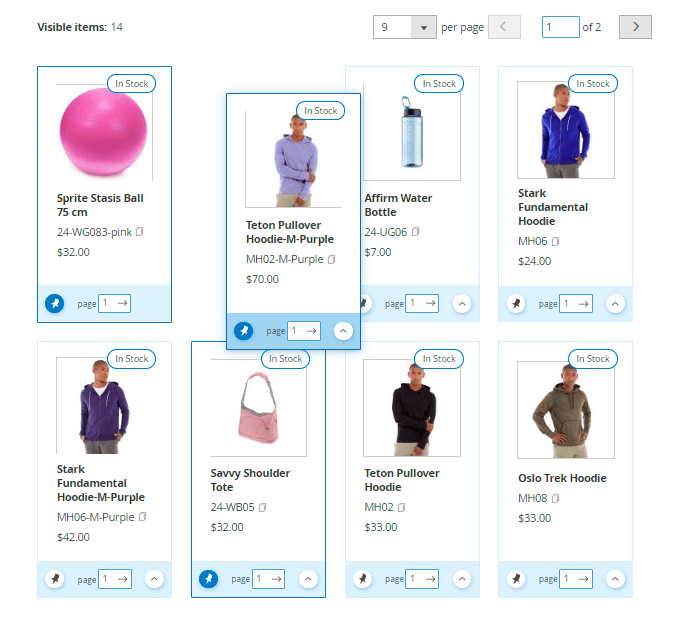 magento_2:visual_merch:visual-merchandiser-visible-items