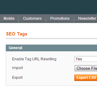 Import and export tags magento import product tags